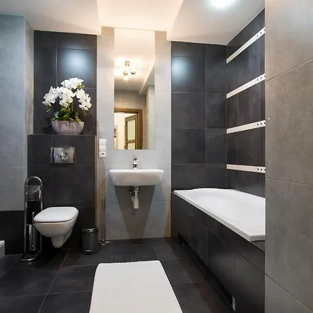 Prestige Stara Polana & Spa2 Daire Zakopane